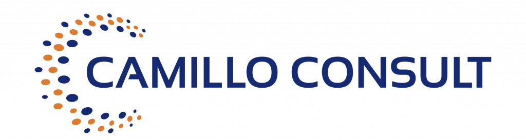 Logo Camillo Consult